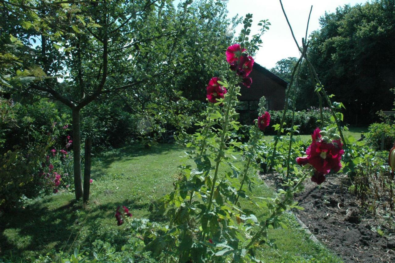 Gastenverblijf Op Het Graveland Zevenhuizen  外观 照片
